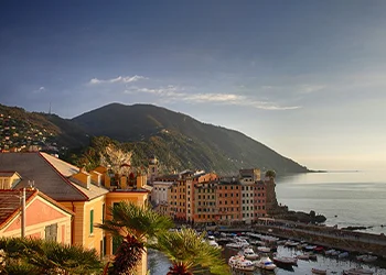 desti-genoa
